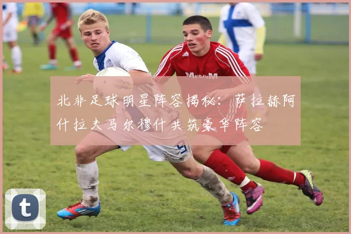 北非足球明星阵容揭秘：萨拉赫阿什拉夫马尔穆什共筑豪华阵容