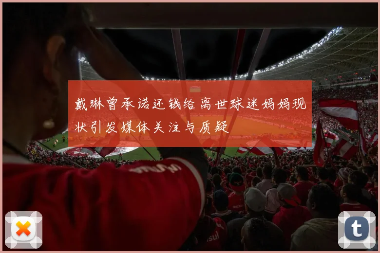 戴琳曾承诺还钱给离世球迷妈妈现状引发媒体关注与质疑